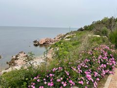 -养马岛旅游度假区