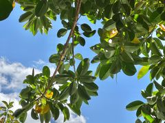 -天津东丽湖风景区