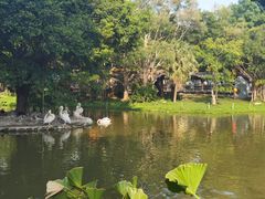 -深圳野生动物园