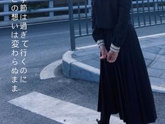 -海堤纪念公园