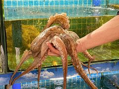 -坛南湾阿强农家乐.海鲜大排档老字号(福州地标美食店)