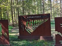 -黄海国家森林公园