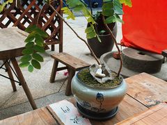 -悟饮门市景店