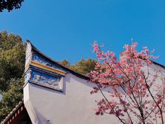 -乌山风景区