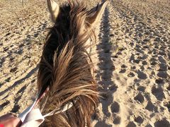 -亿利库布其七星湖沙漠生态旅游区