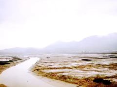 -北岐滩涂