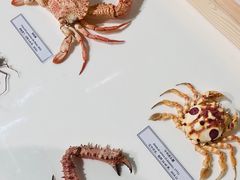 -中国湿地博物馆