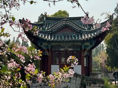 -庾园
