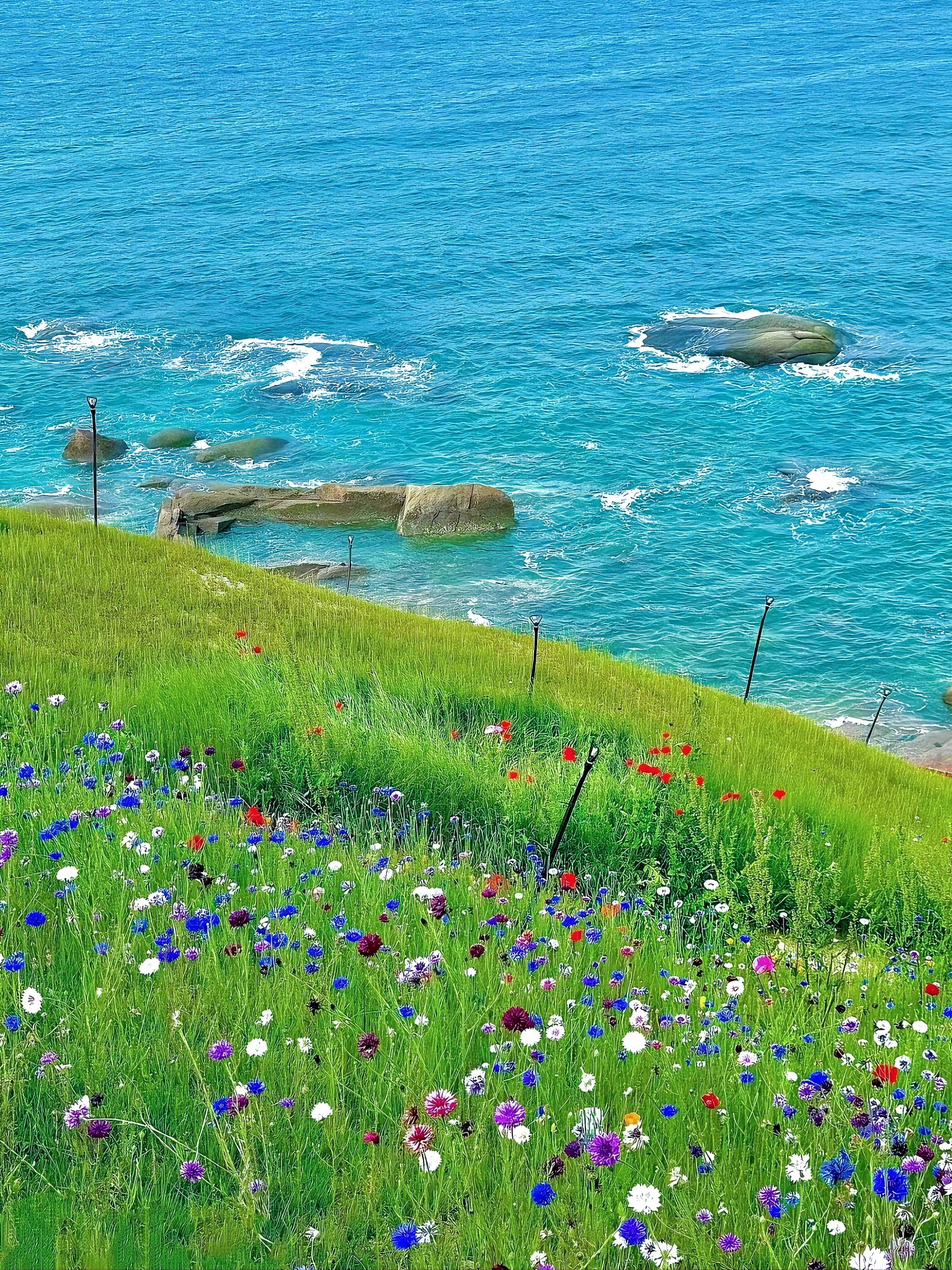 る海に风は吹く图片