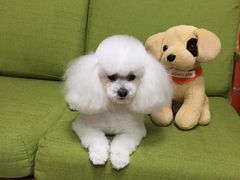 -惠康宠物医院(华能路店)