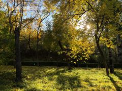 -元大都城垣遗址公园