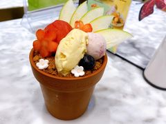 掌心花园&nbsp;外带冰激凌杯-哈根达斯(朝阳大悦城店)