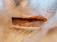 王虎子大饼-王虎子大饼(甸柳新村五区店)