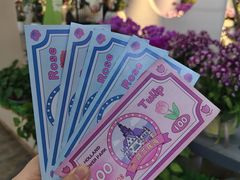 -荷兰花海