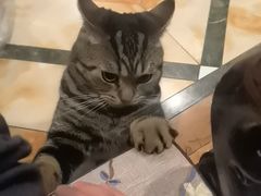 -金三可市井水煮鱼(金碧园店)