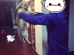 -爱侣宠医·鹦鹉专科·小型哺乳类·异宠专科(灵石路店)