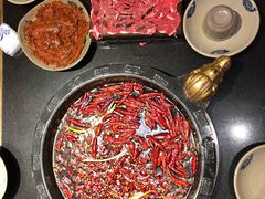 鲜切吊龙黄牛肉-渝大狮毛肚老火锅(普陀店)