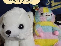 -PAWTOY爪e玩偶店(天兴罗斯福店)