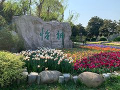 -上海鲜花港