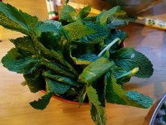 -攀枝花·任德琼·盐边羊肉米线