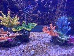 -常州海昌海洋探索馆