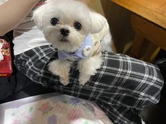 -何氏串串香火锅(翠亨店)