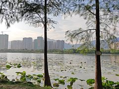 -飞来湖湿地公园