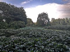 -洛阳市隋唐城遗址植物园