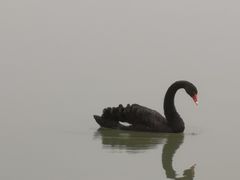 -天津东丽湖风景区