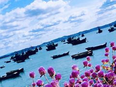 -海源公园