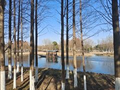 -沙家浜风景区