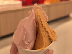 南姜芭乐-陕拾叁-西安糕点(大雁塔店)