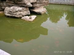 -关林