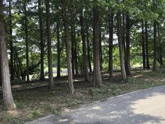 -梁鸿国家湿地公园