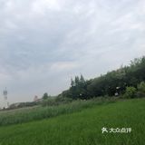 出示了绿色随申码和提前买的门票才入园