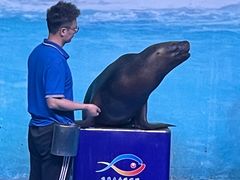 -乌鲁木齐海洋馆