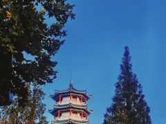 -青岛海滨风景区小鱼山