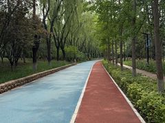 -大兴滨河森林公园