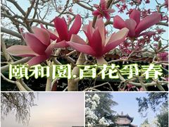 -颐和园