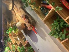 -小小河边鱼(天润城店)