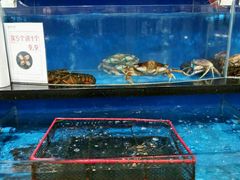 -七鲜超市(万向城店)