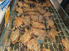 -好兄弟郭巨海鲜(天一阁店)