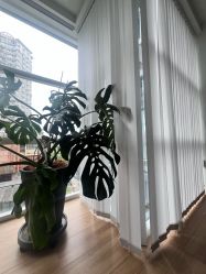 -阿南达·瑜伽普拉提·阿育吠陀疗愈中心