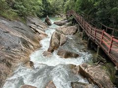 -广州白江湖森林公园