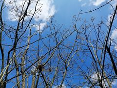 -白鹭湾湿地公园