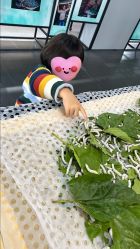 -太湖雪蚕桑文化园