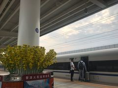 -婺源站