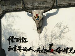 -慢丽江·云南野生菌土鸡锅(付家庄店)