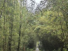 -开平碉楼文化旅游区马降龙景区