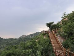 -大岭沟猕猴桃谷风景区